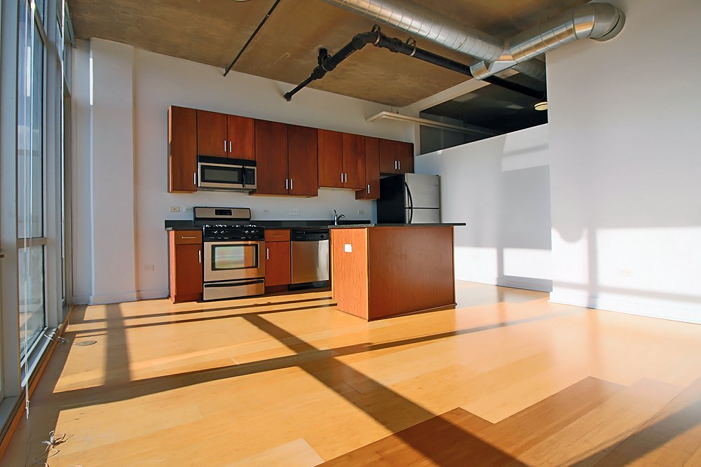Chicago Condo: 2169 S Indiana Ave