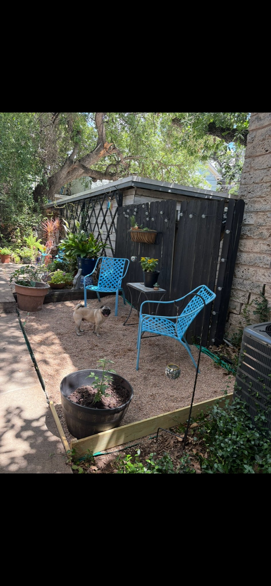 Austin Townhome: 1405 Hartford Rd