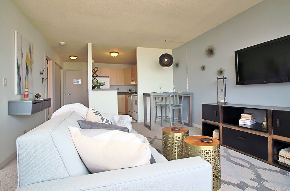 Chicago Condo: 1224 S Michigan