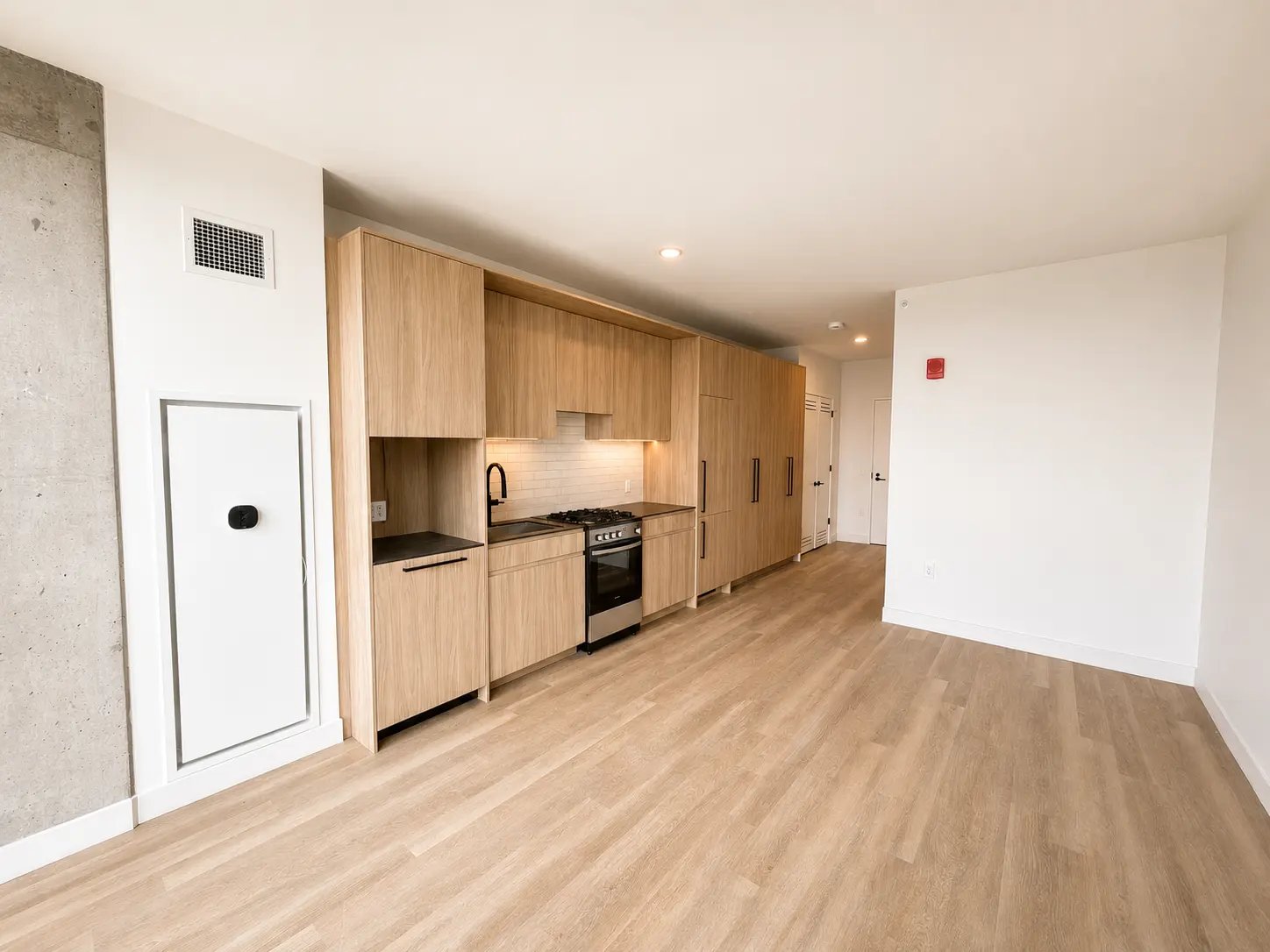 Chicago Condo: 223 North Ada