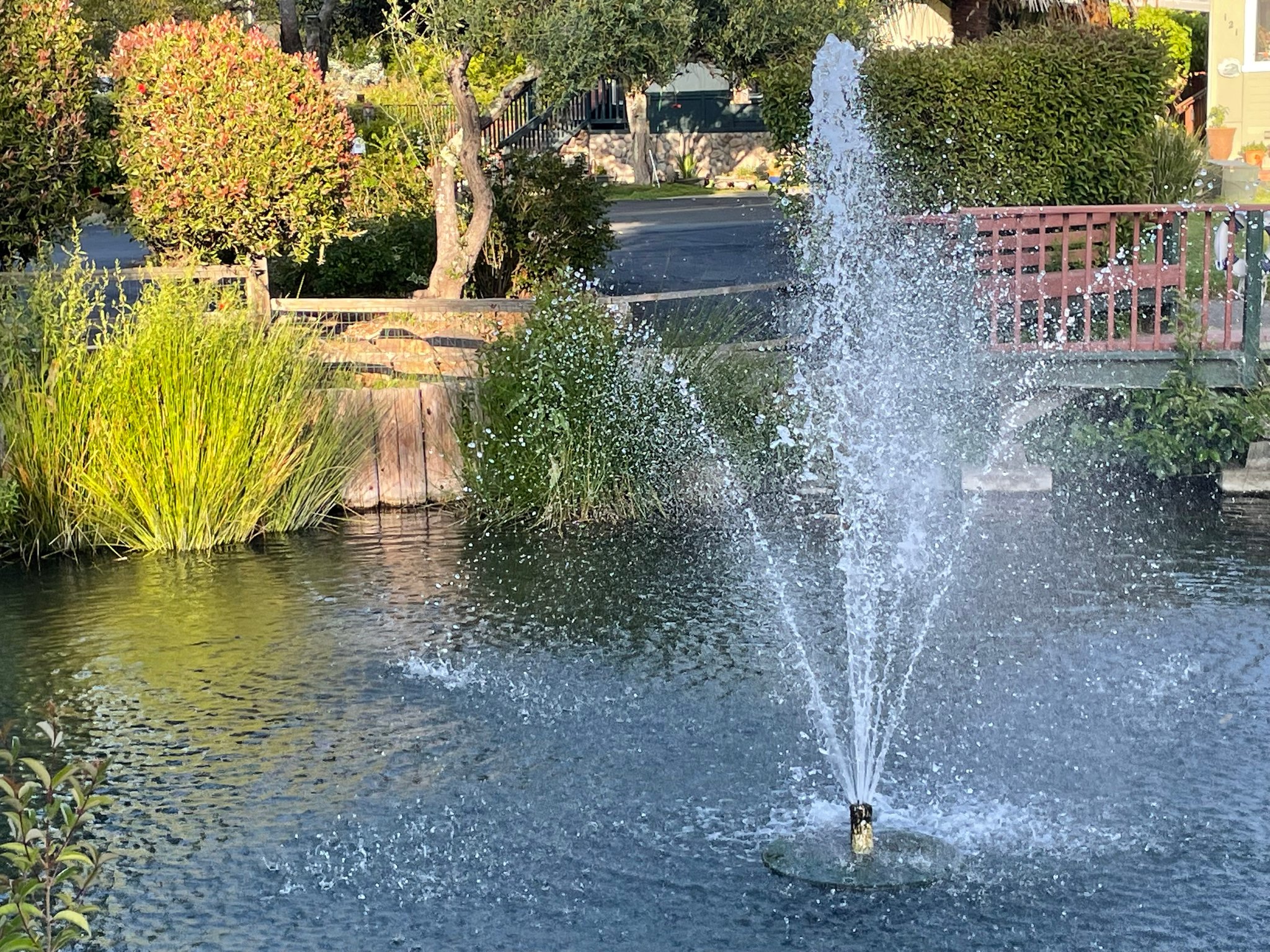 Scotts Valley Single Room: 444 Whispering Pines Dr