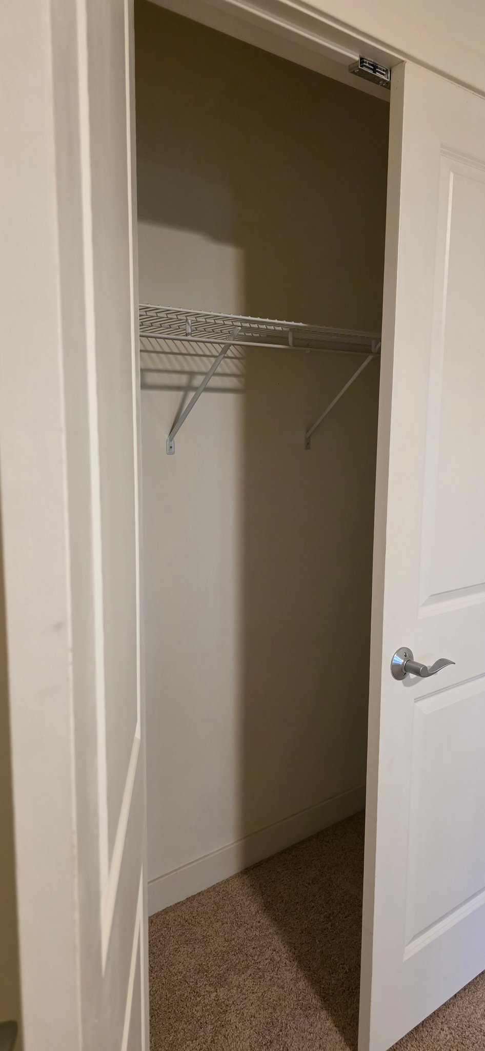 Burlington Apartment: 1191 North Ave