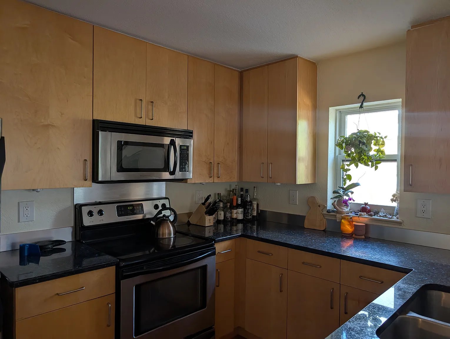 Denver Condo: 188 S. Logan Street