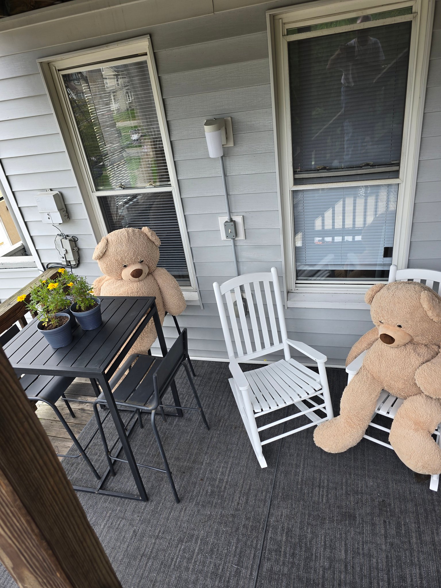 Pittsburgh Apartment: 3 E Prospect Ave