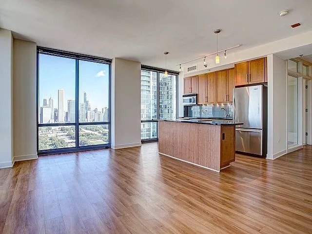 chicago Condo: 1255 S Michigan Ave