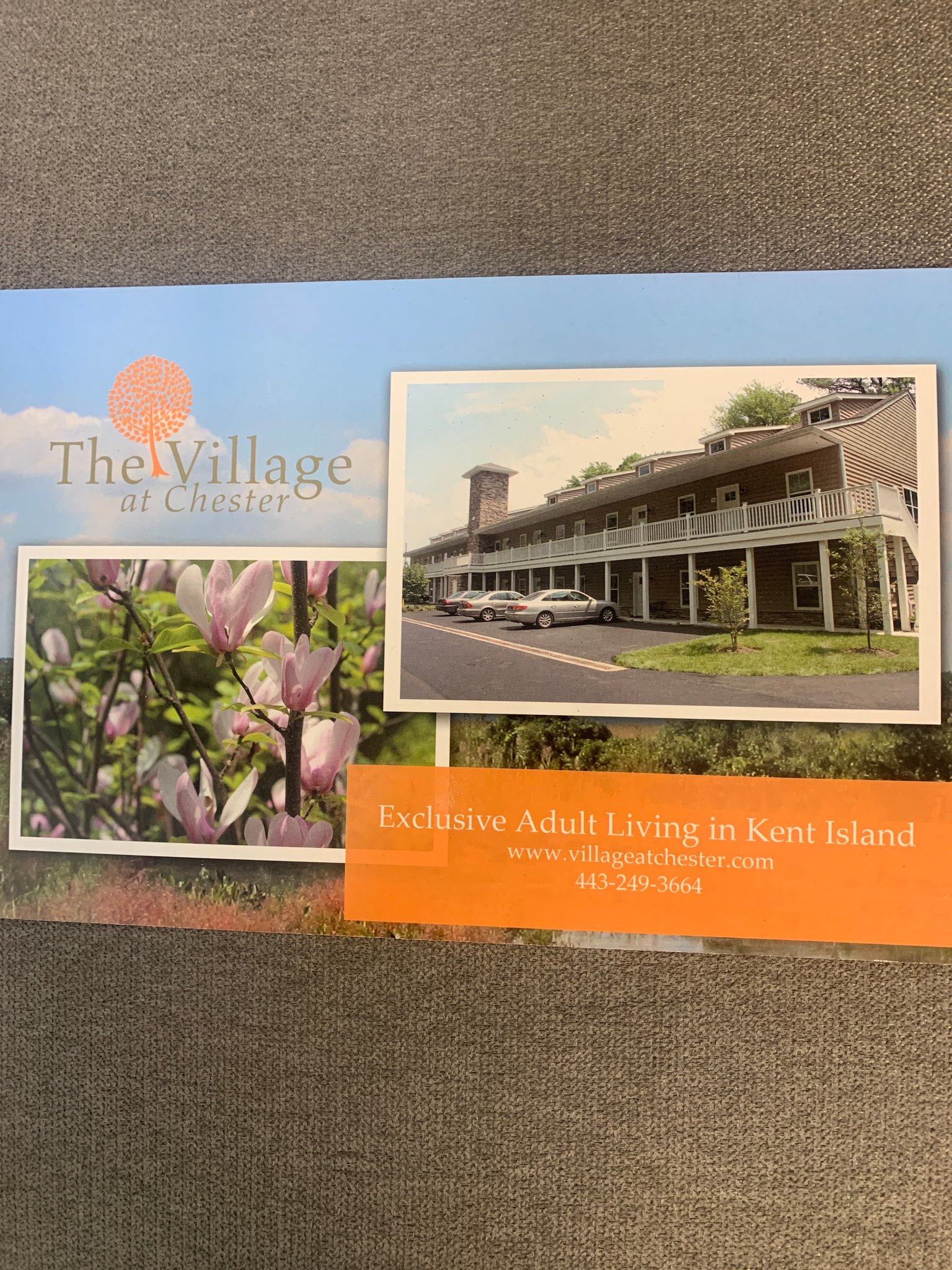 Chester Apartment: 1540 Postal Rd