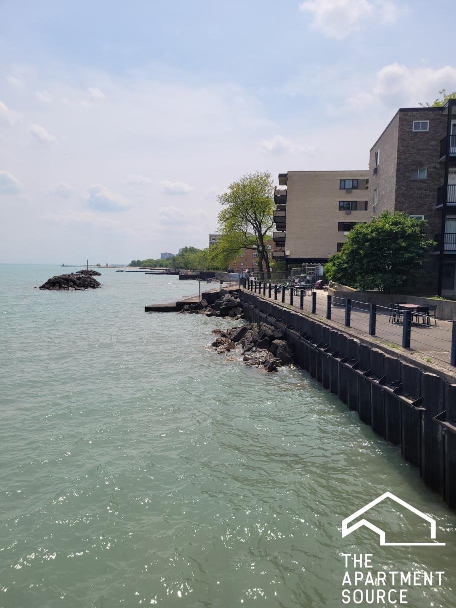Chicago Apartment: 1333 West Birchwood