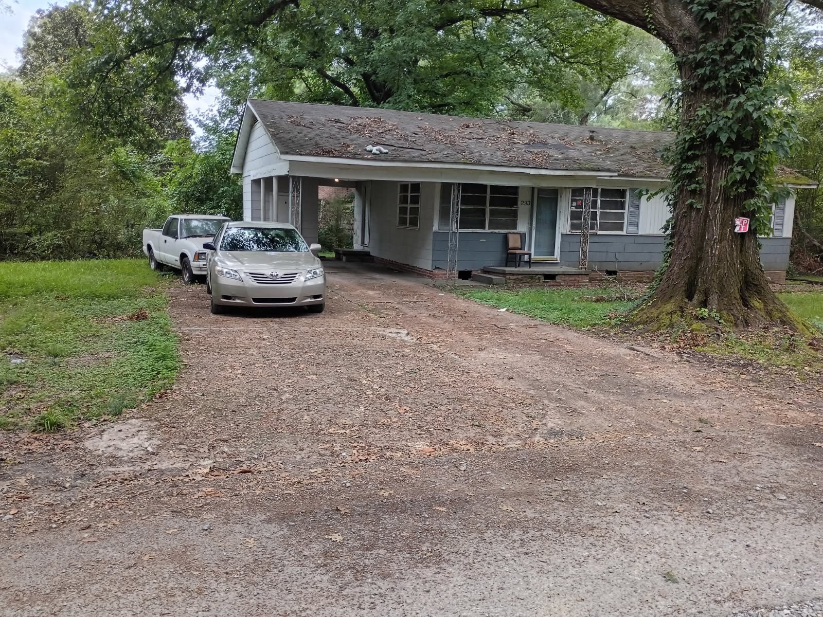 Jackson House: 293 Cameron St