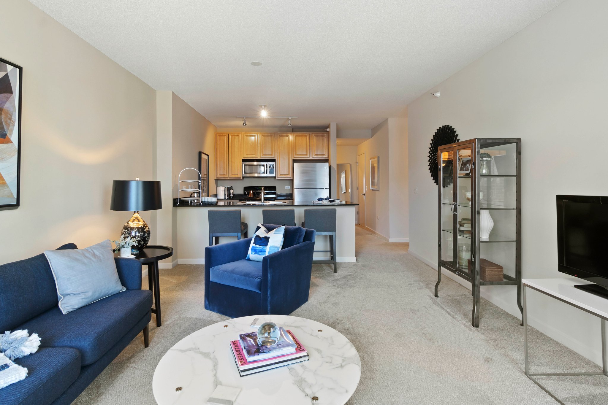 Chicago Condo: 354 N Desplaines St.