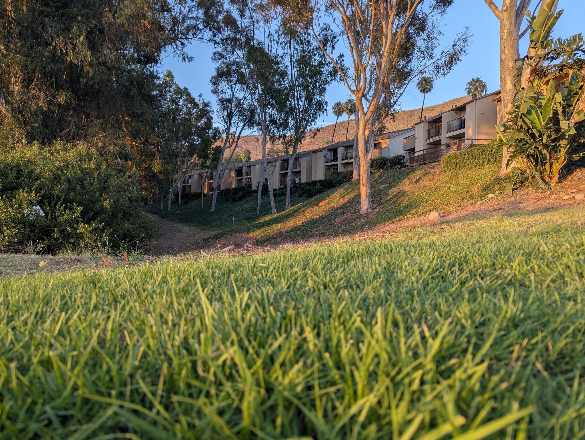 Ventura Condo: 771 Seneca St
