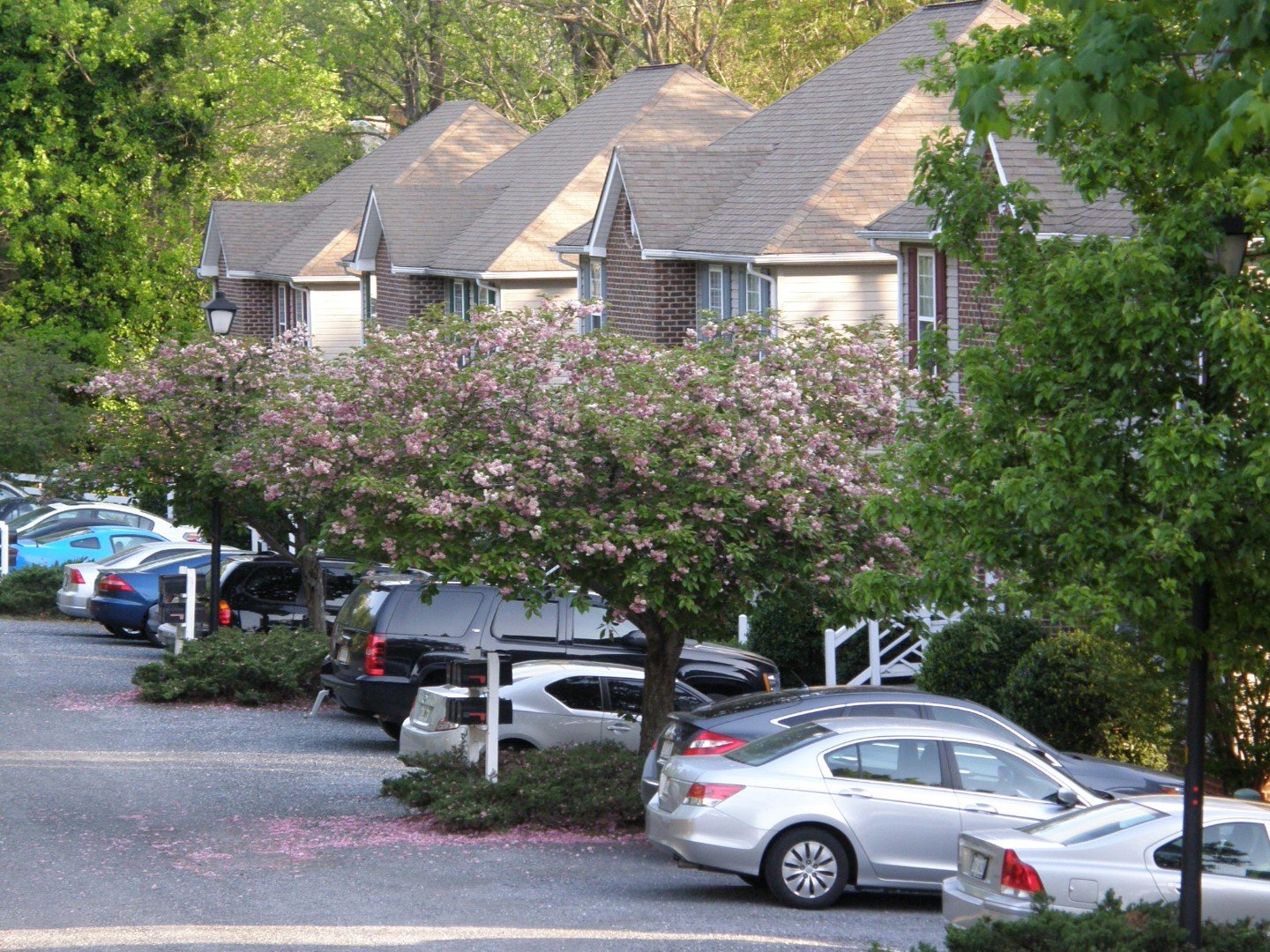Lynchburg Townhome: 3124 Link Rd