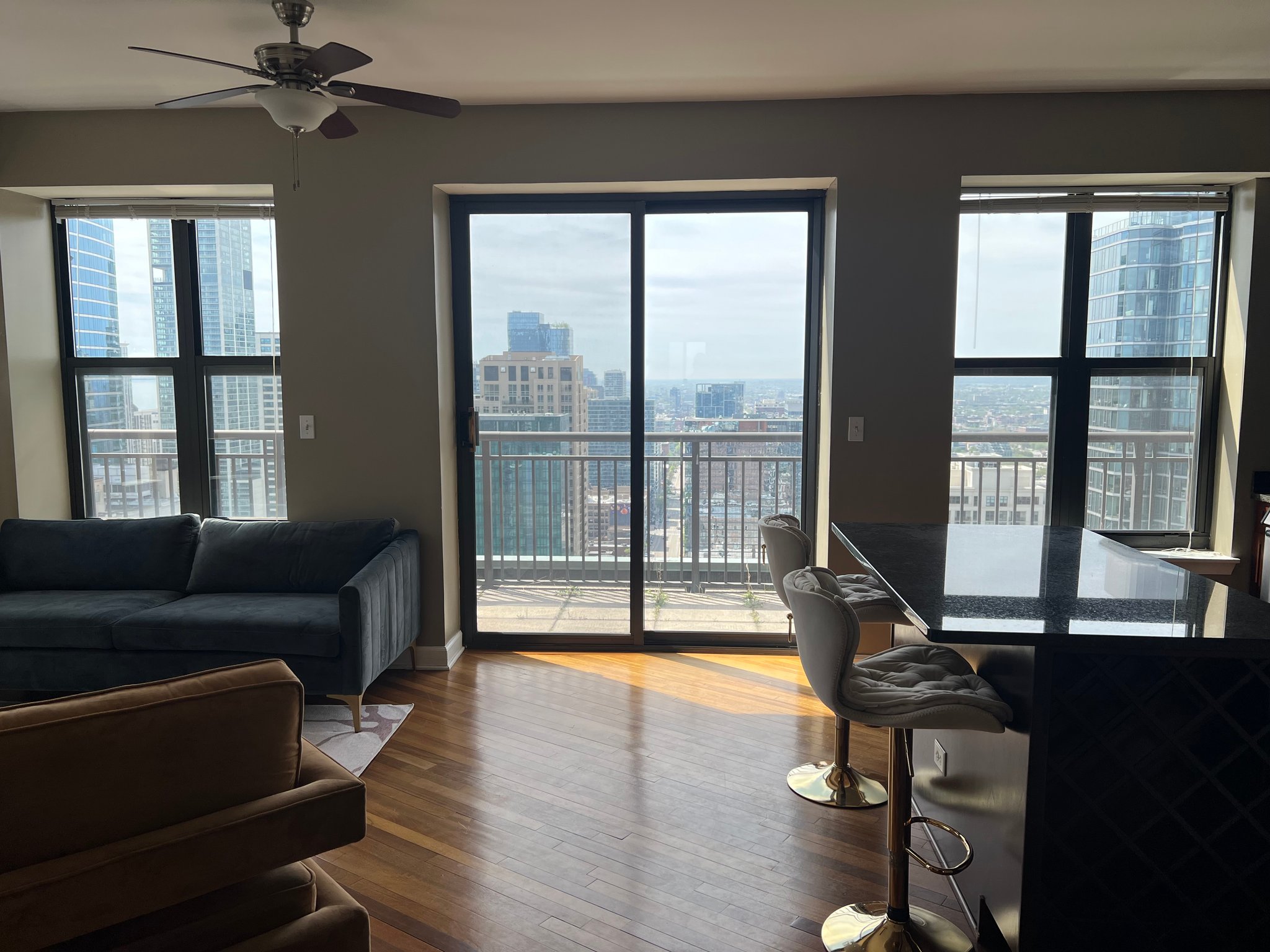 Chicago Condo: 41 E 8th St