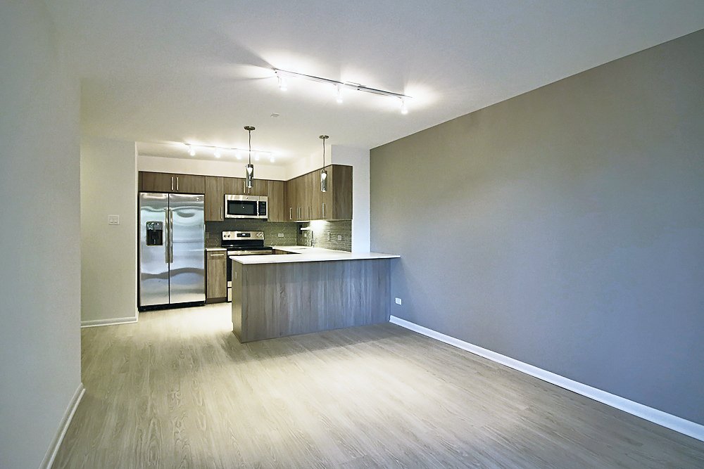 Chicago Condo: 903 S Ashland Ave