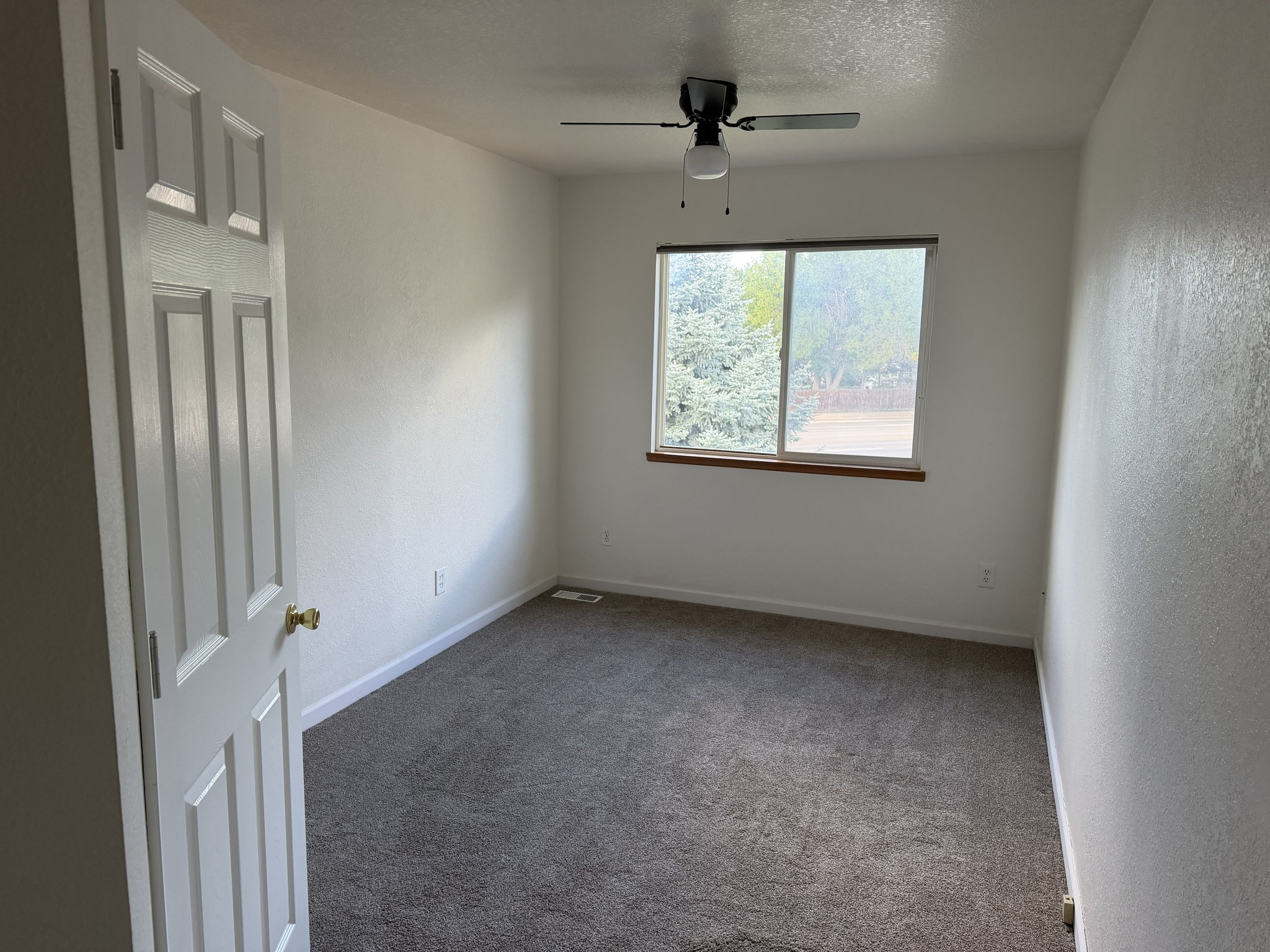 Fort Collins Single Room: 1637 Westbridge Dr