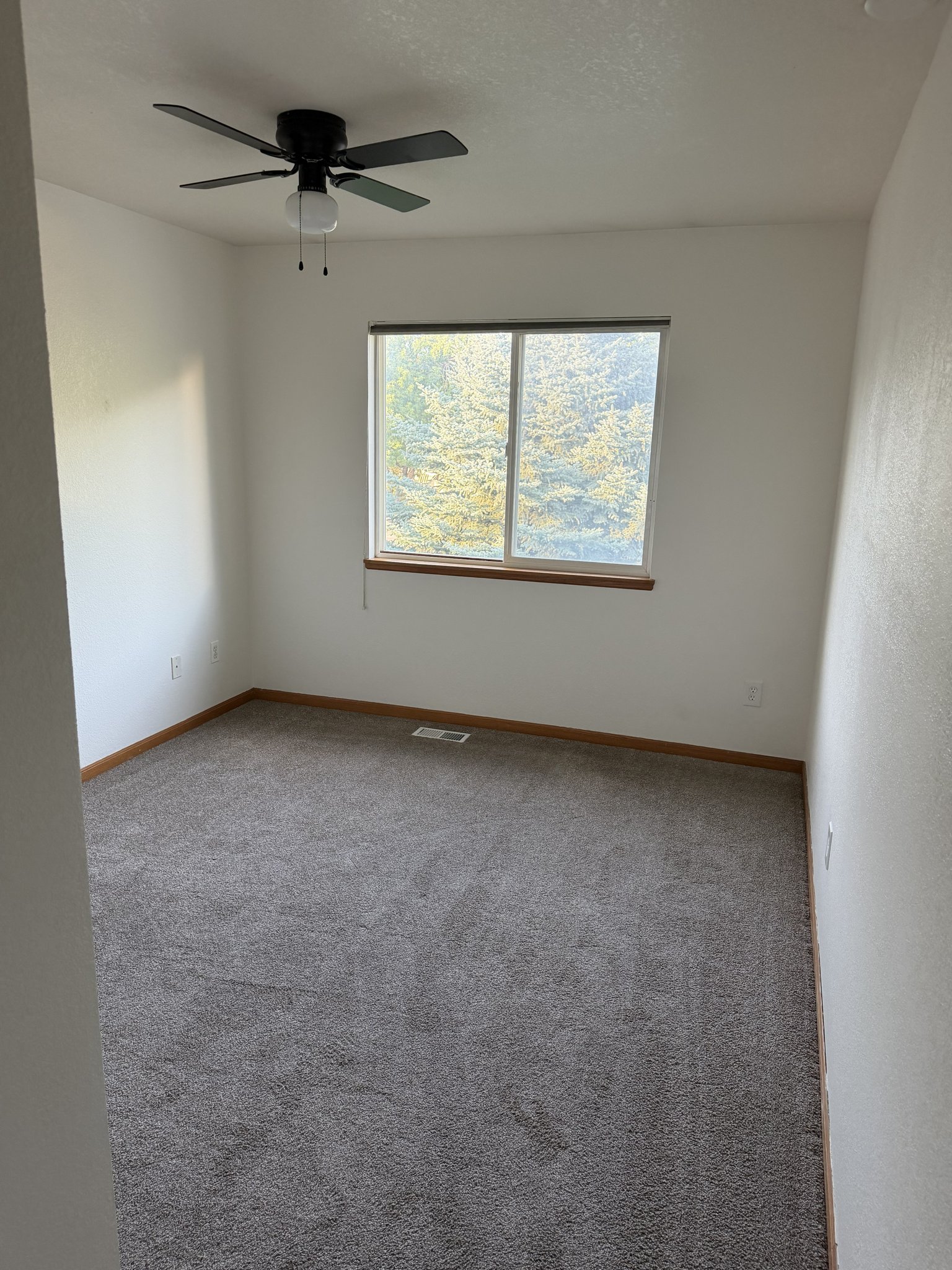 Fort Collins Single Room: 1637 Westbridge Dr