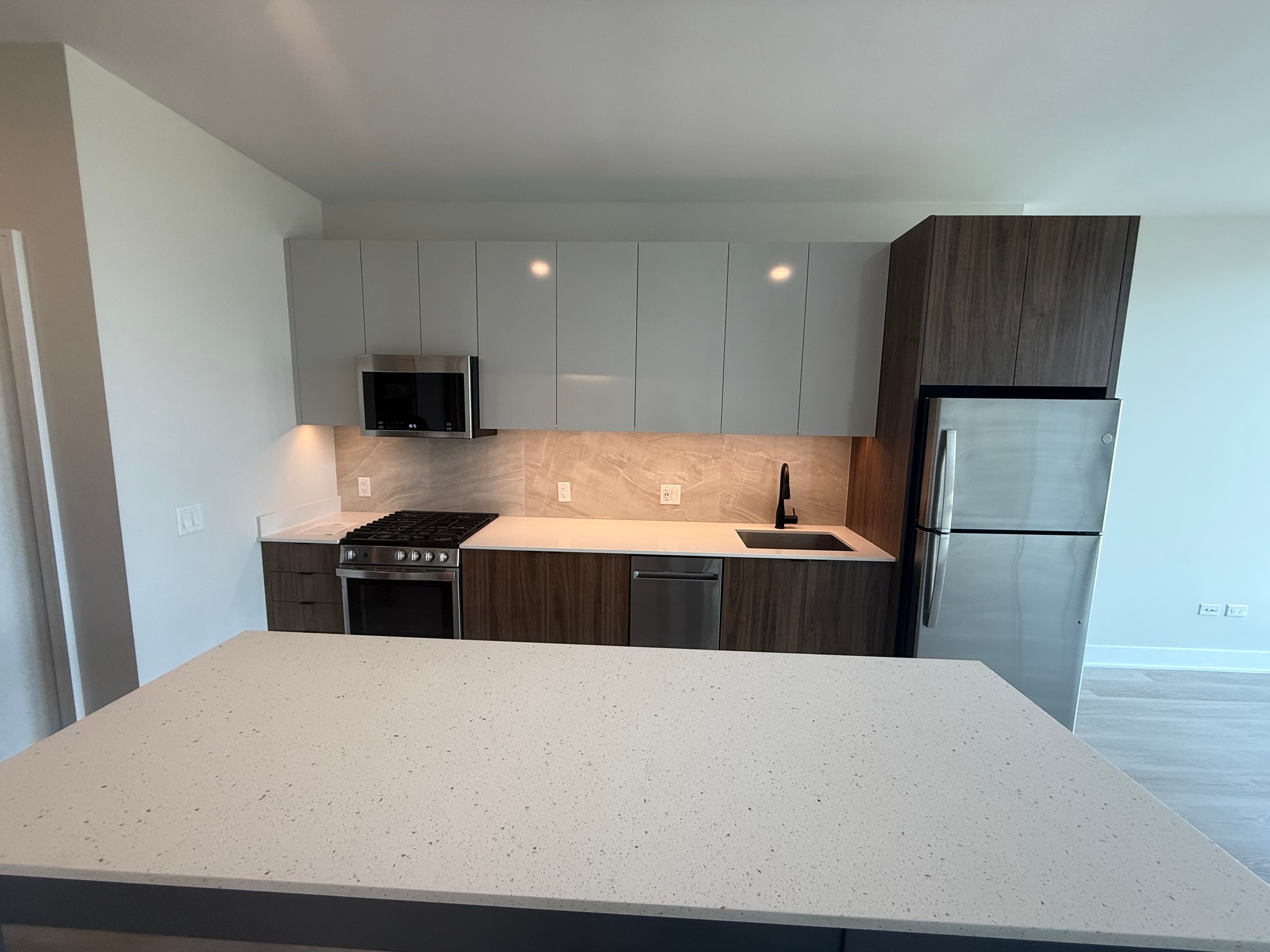Chiacago Condo: 1124 W Van Buren St