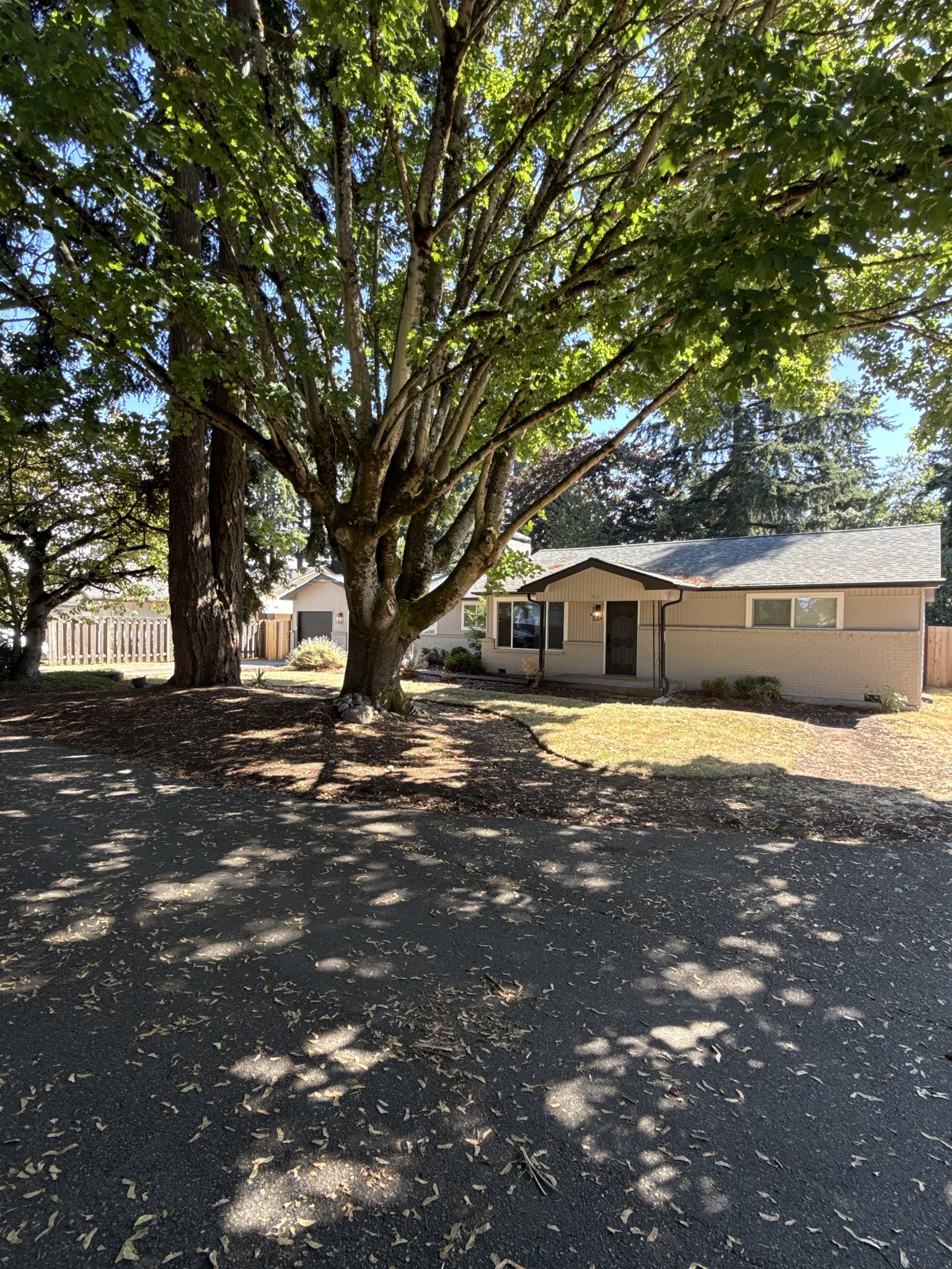 SeaTac House: 4239 S 184th PL