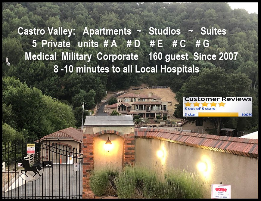 Castro Valley Other: 25651 Palomares Rd