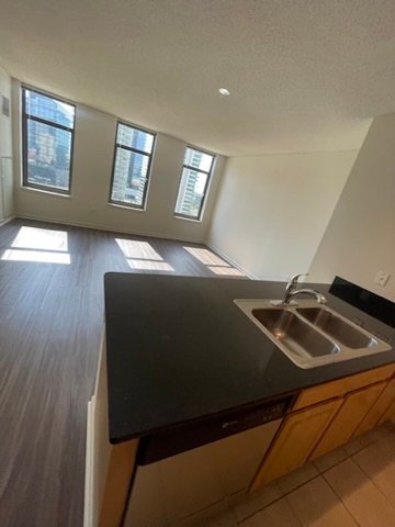 Chicago Condo: 349 N Jefferson St
