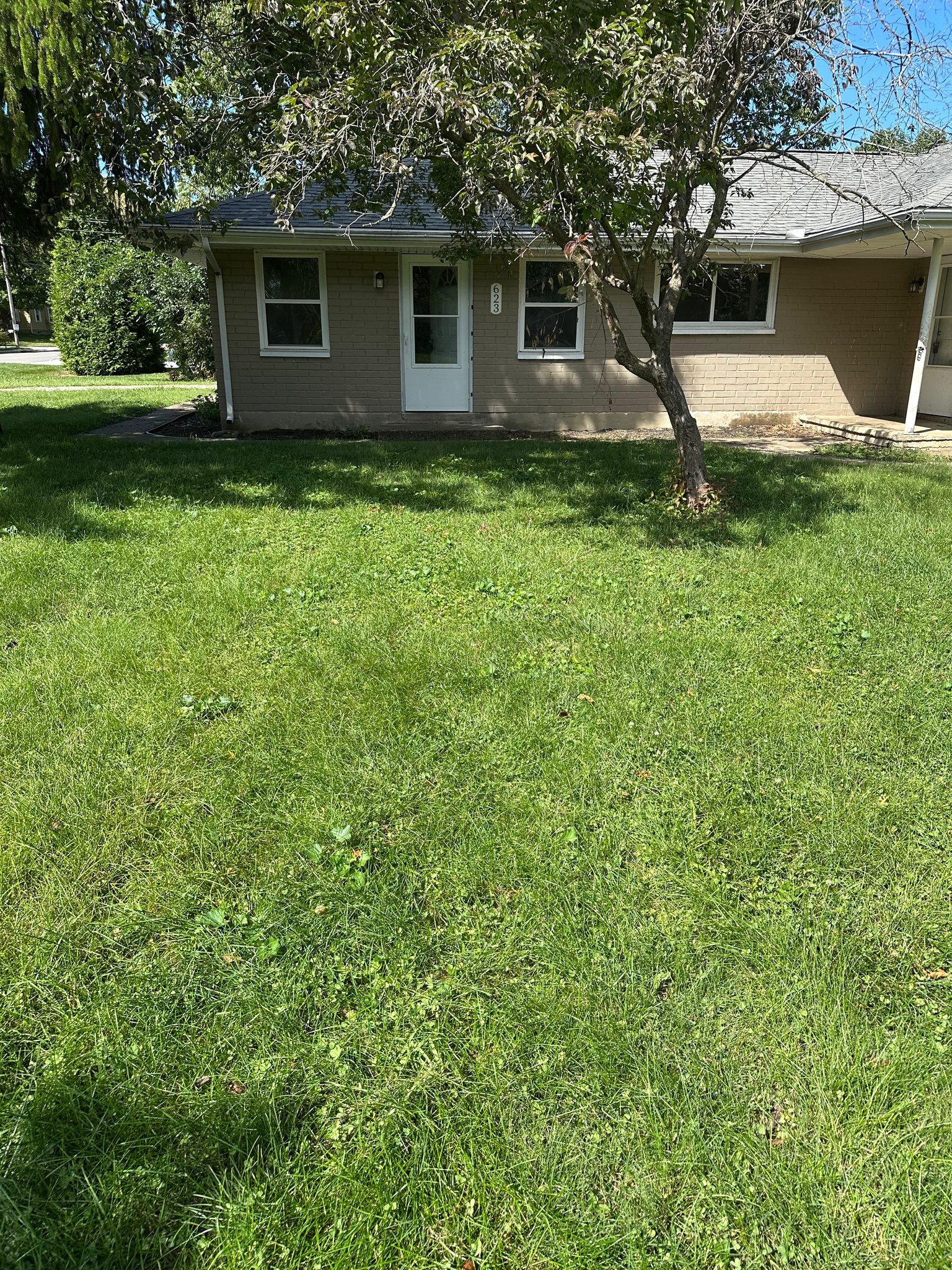 Englewood Multiplex: 623 Bonnycastle Ave