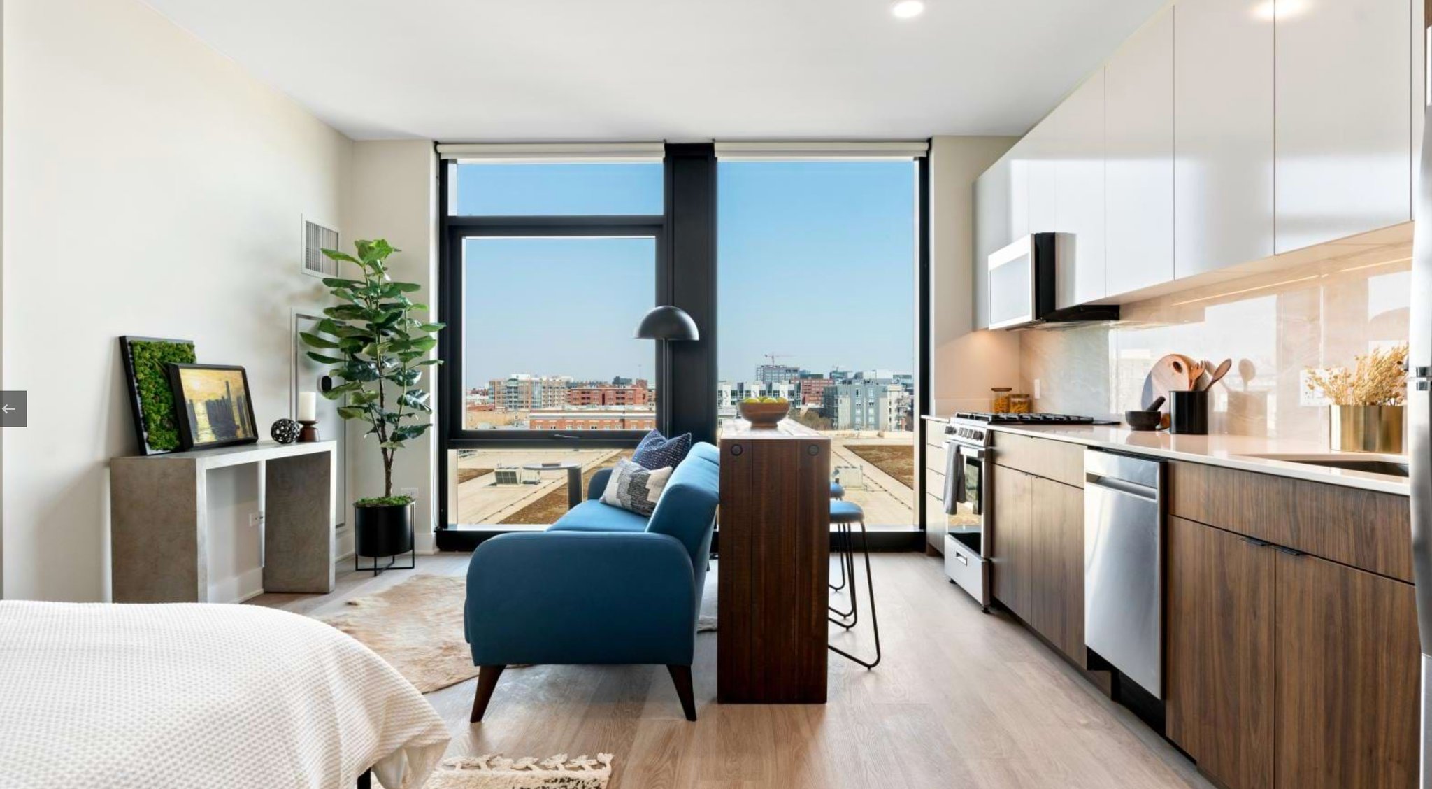 Chicago Condo: 1121 W Van Buren