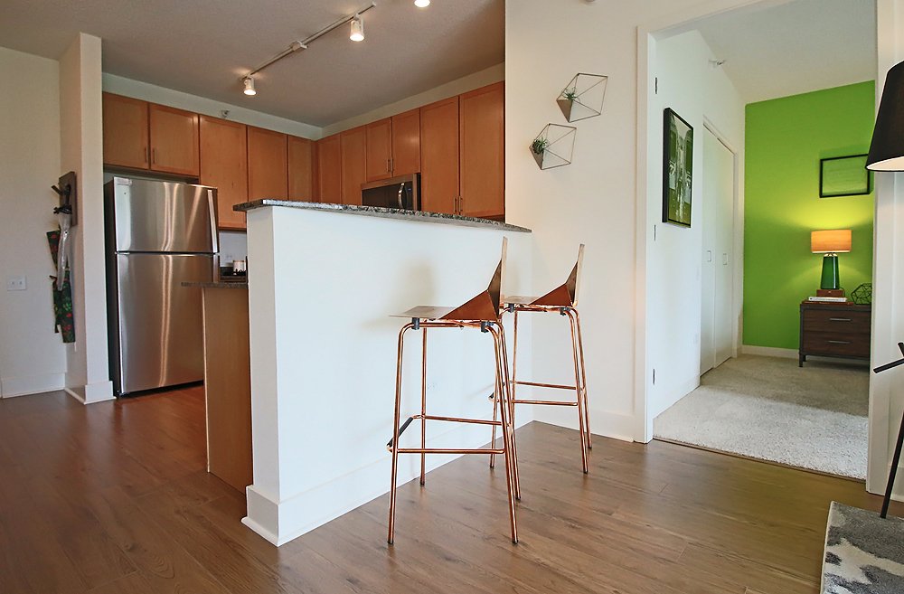 Chicago Condo: 919 S Clark St