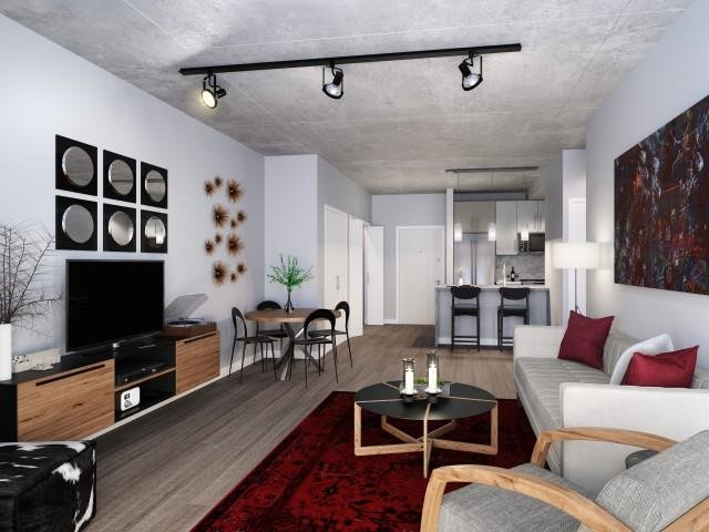 Chicago Condo: 538 N McClurg