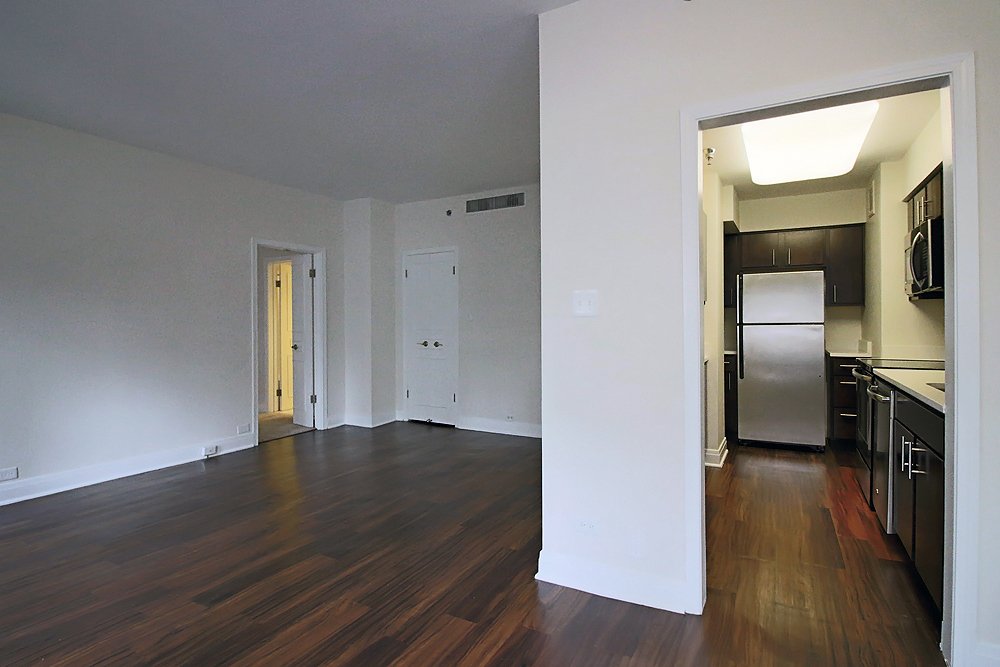 Chicago Condo: 208 E Chestnut St