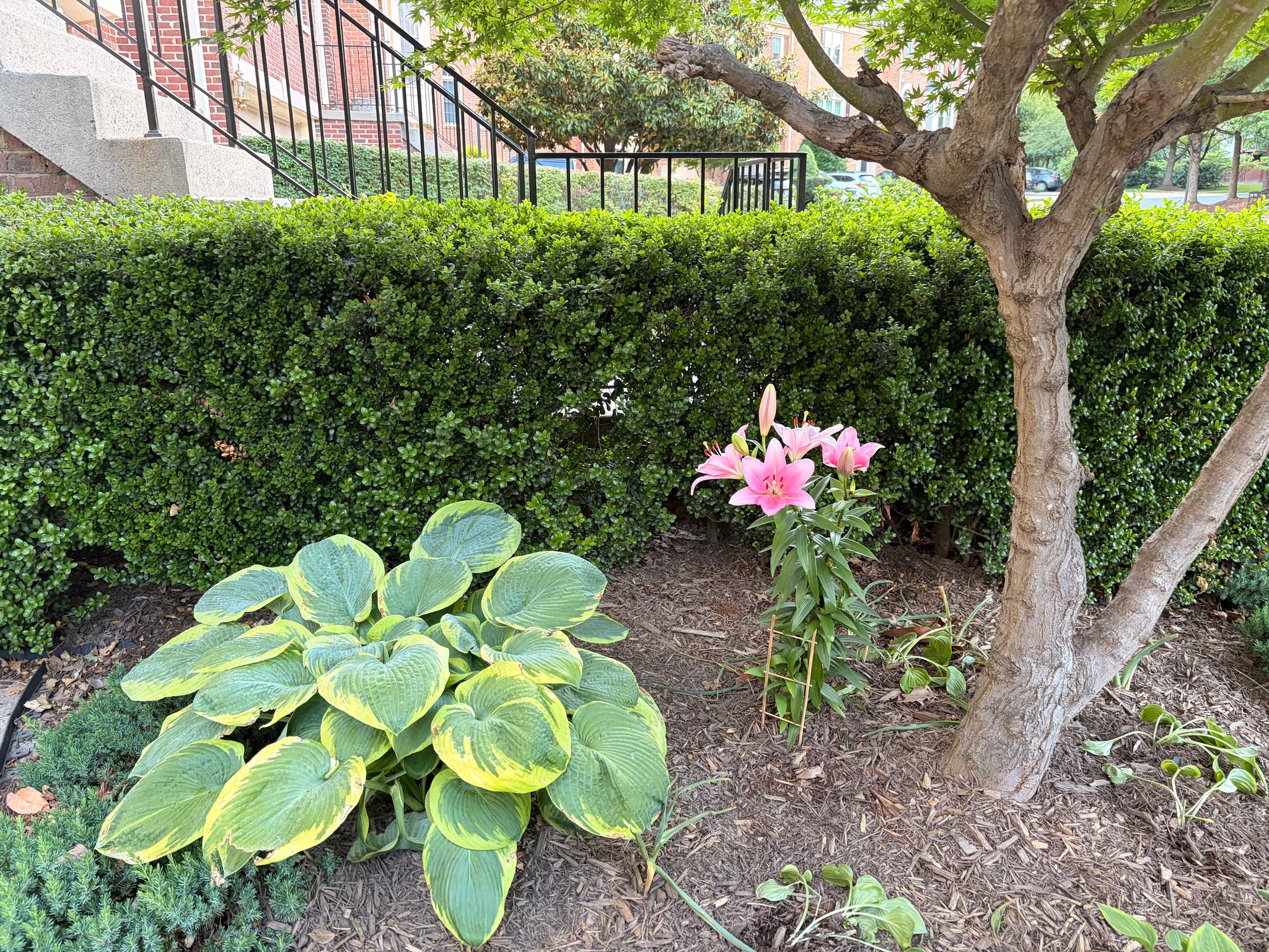 Fairfax Townhome: 4130 Appleby Way