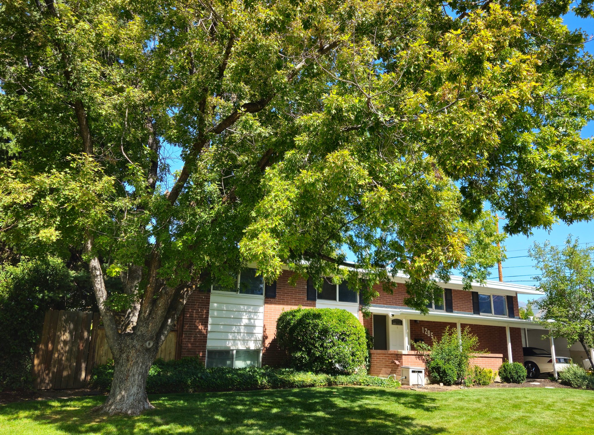 Murray House: 1285 E. Hemmingway Dr.