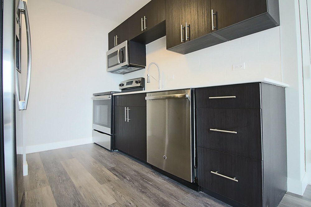 Chicago Condo: 29 E Delaware Pl