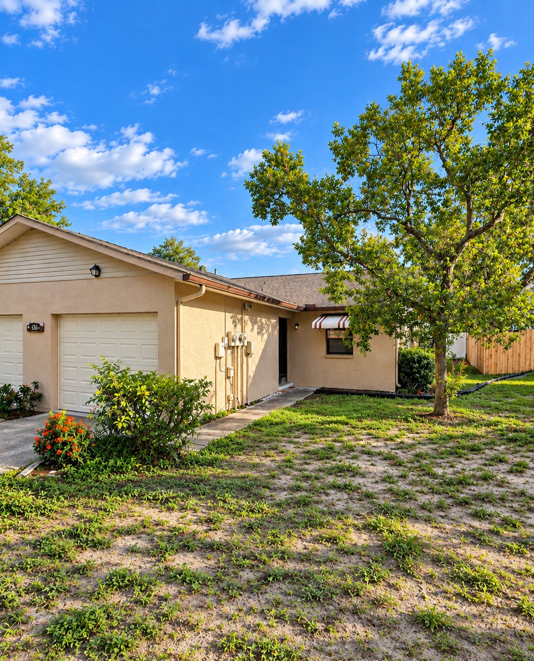 Tarpon Springs House: 630 July Dr