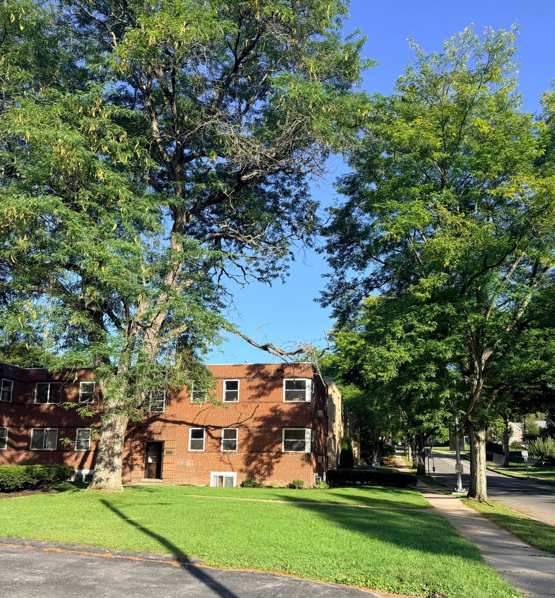 State College Apartment: 1012 S Pugh St