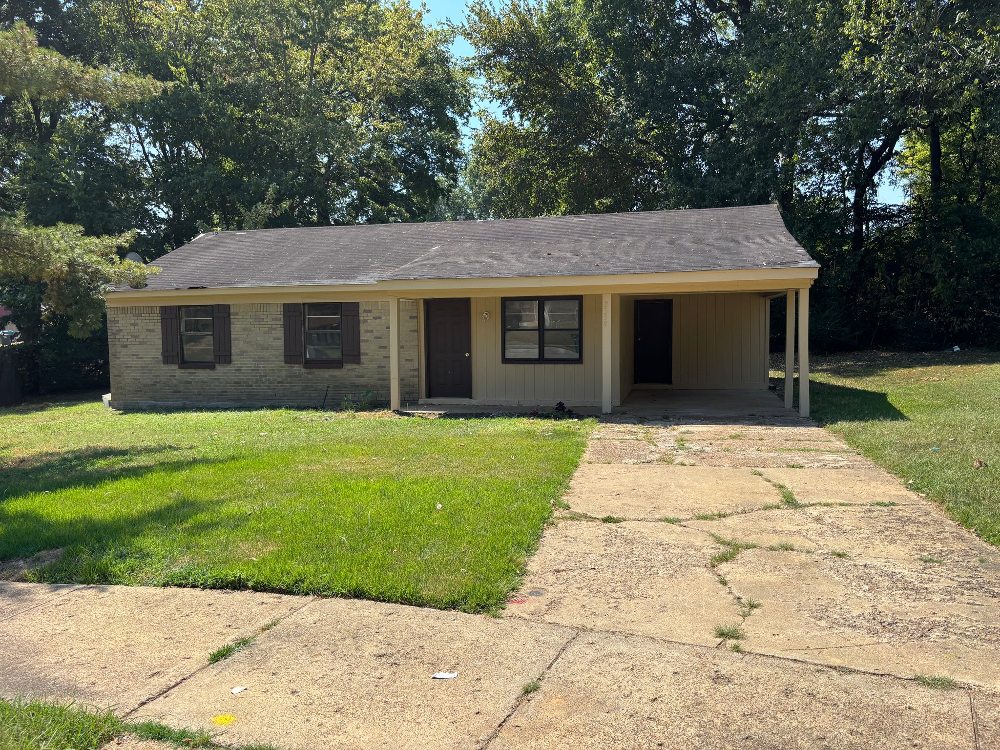Memphis House: 2359 Palm Cove