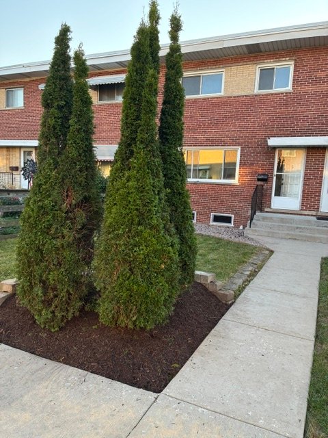 Mount Prospect Townhome: 6 E Judith Ann