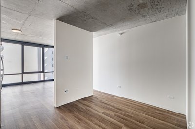 Chicago Condo: 59 E 14th St