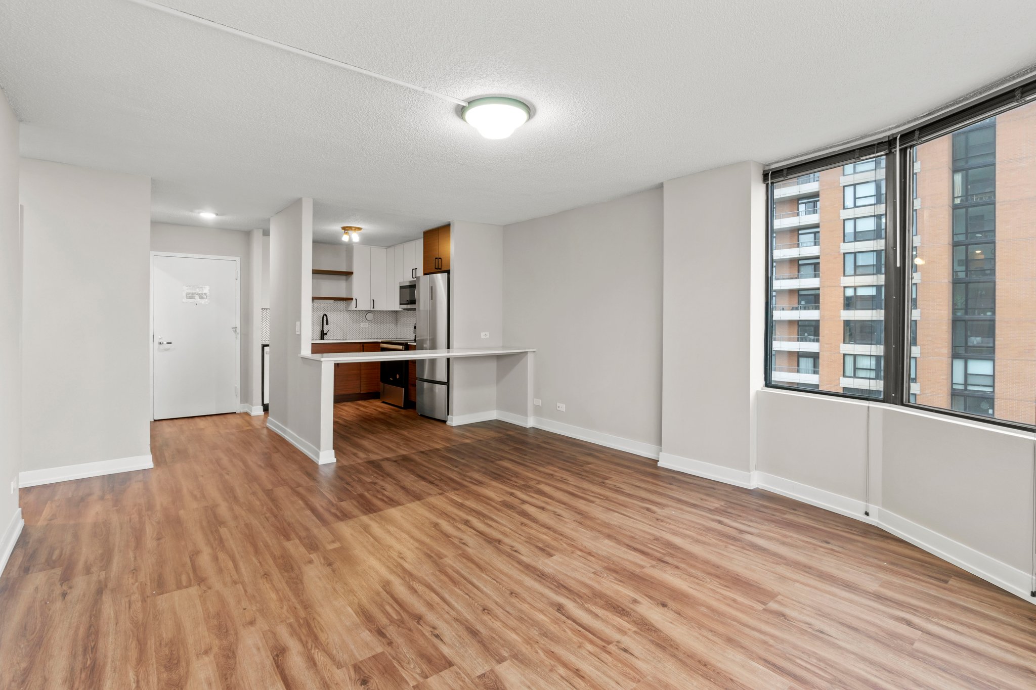 Chicago Condo: 1220 S Michigan Ave