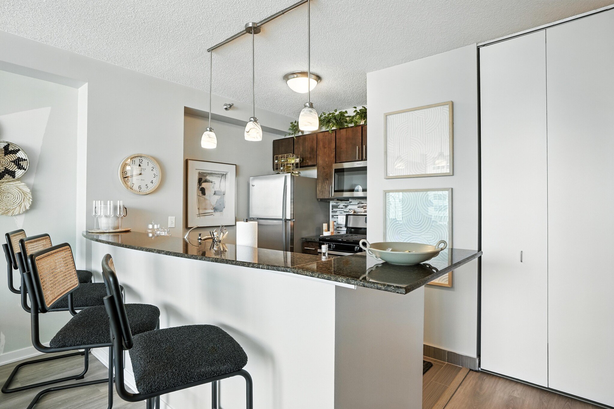 Chicago Condo: 358 E Ohio