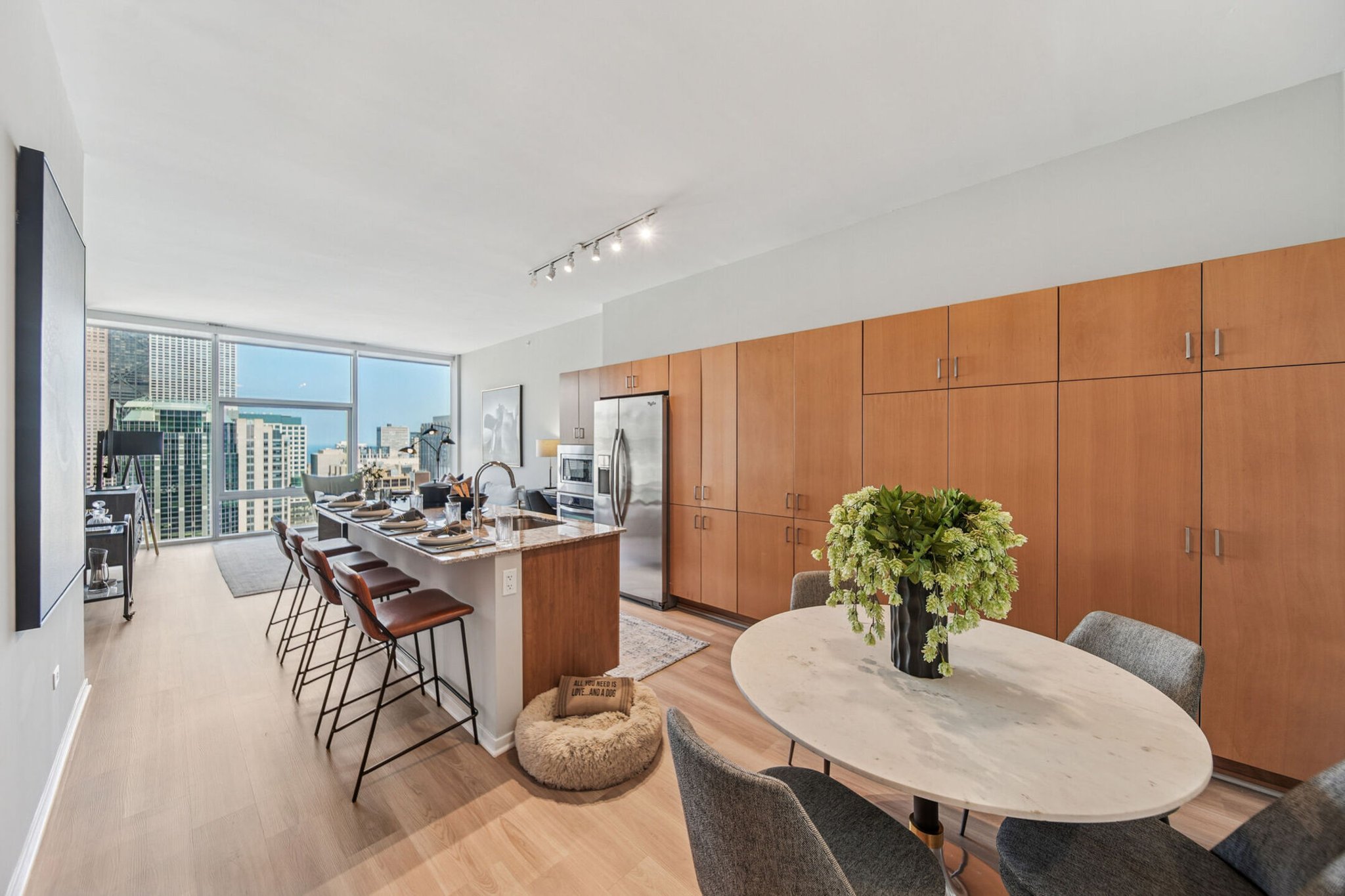 Chicago Condo: 230 E Illinois