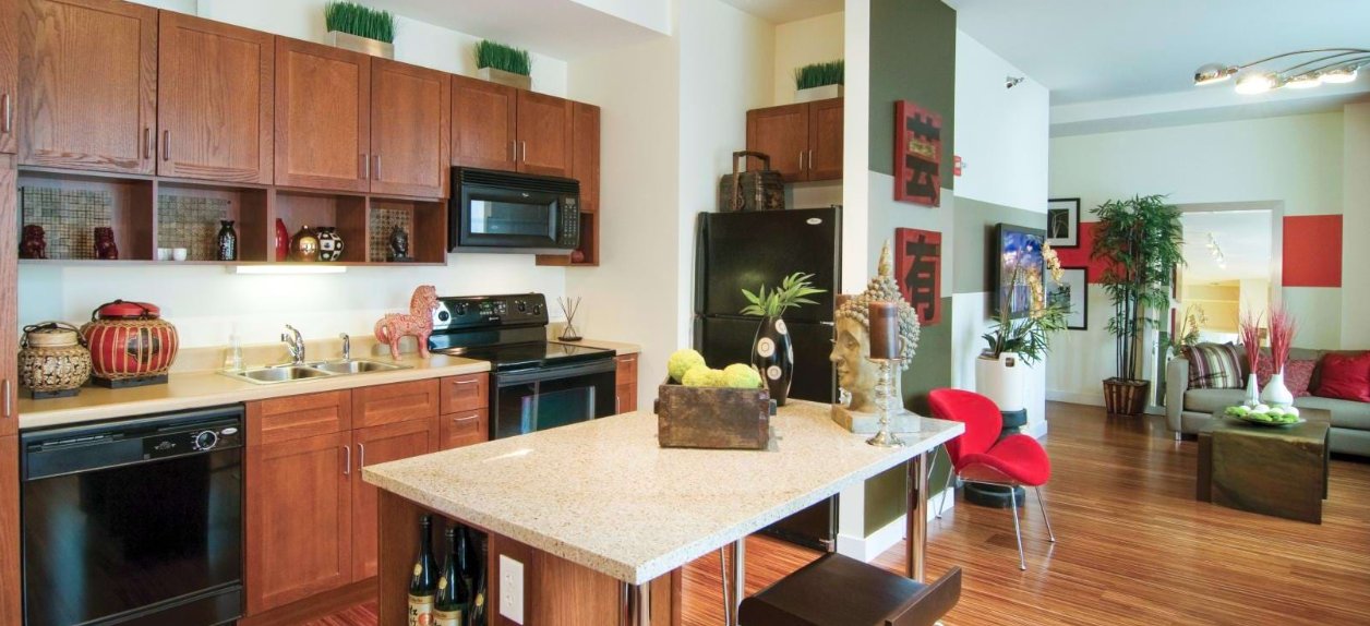 Chicago Condo: 67 E Lake St
