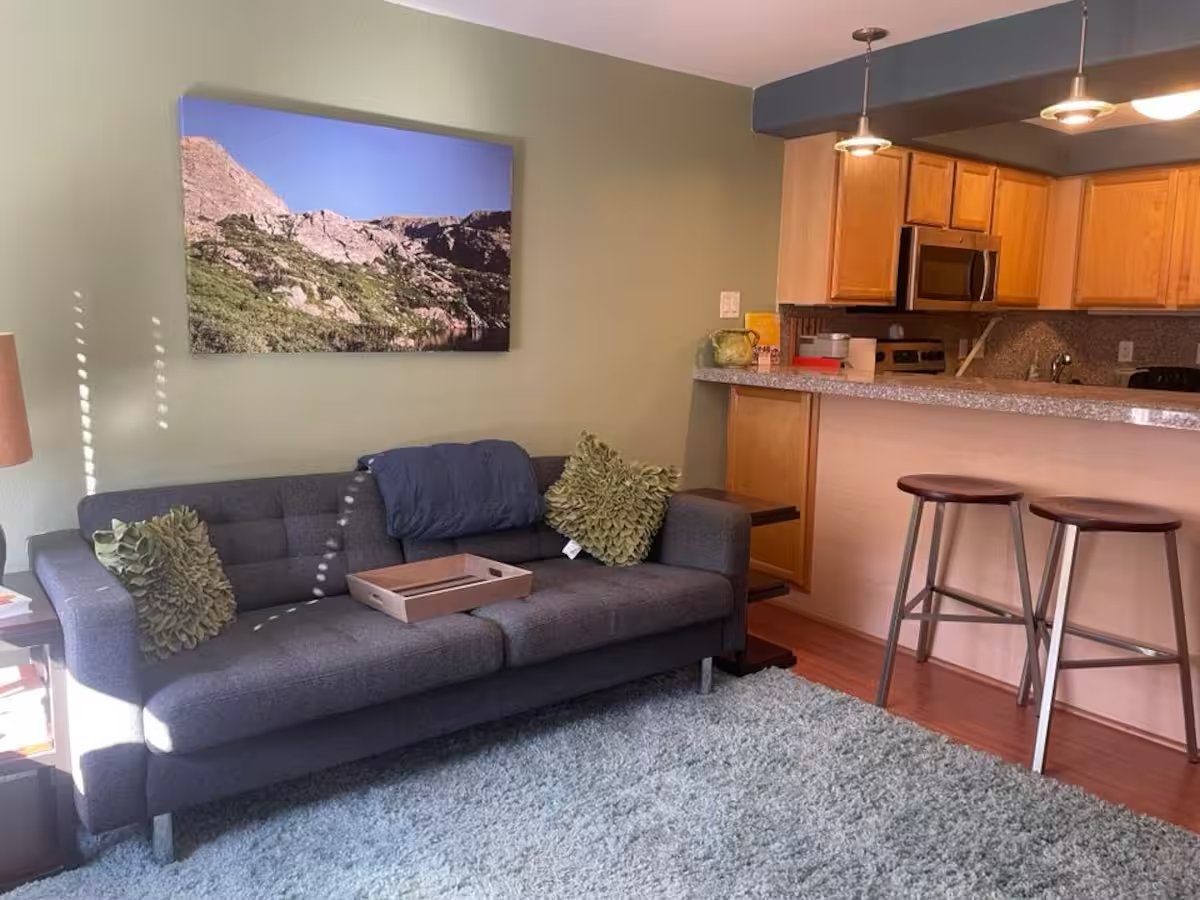 Denver Condo: 1833 N Williams St