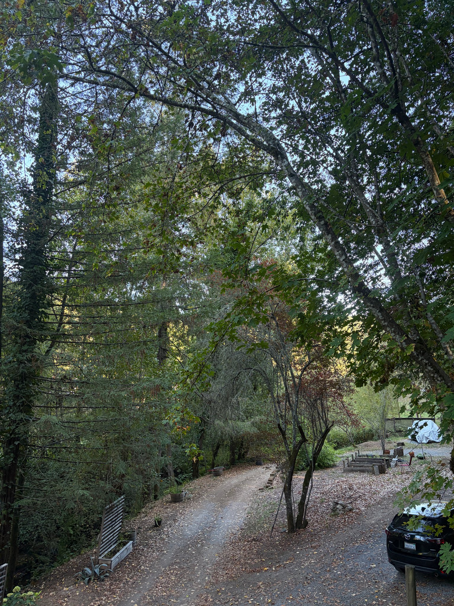 Guerneville House: 12000 Hwy 116