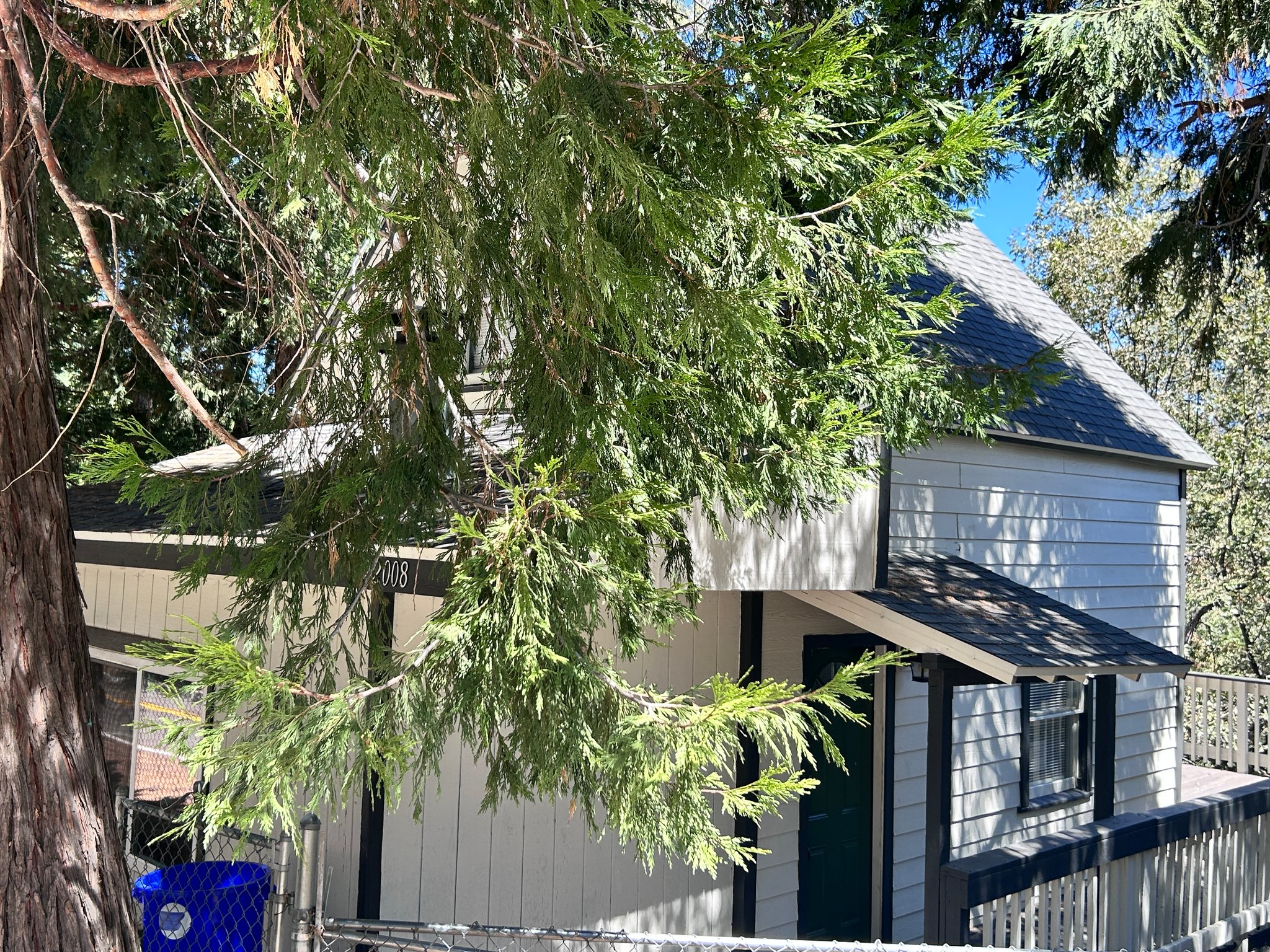 Cedarpines Park House: 22008 Crest Forest Dr