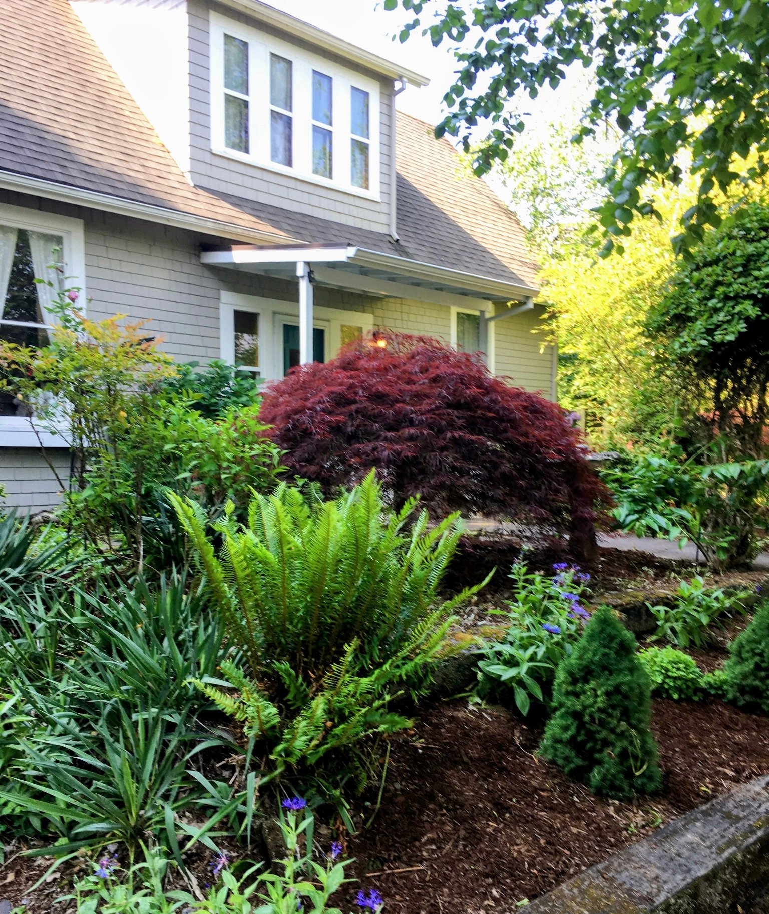 Forest Grove House: 1924 17th Ave