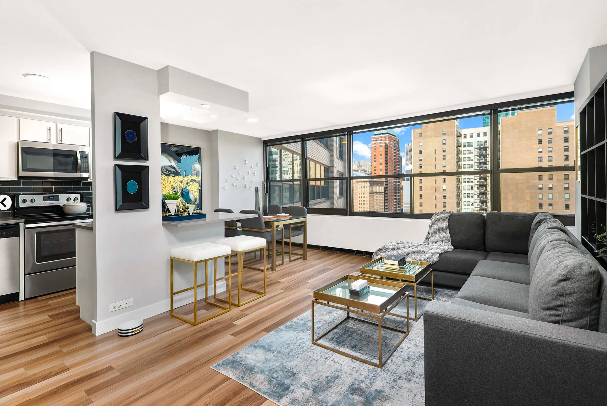 Chicago Condo: 1136 S Michigan Ave