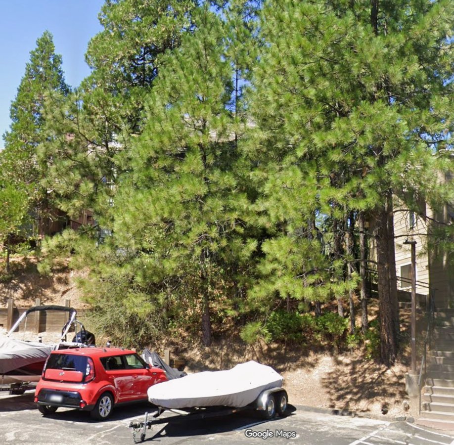 Bass Lake House: 40528 Big Pine Trail