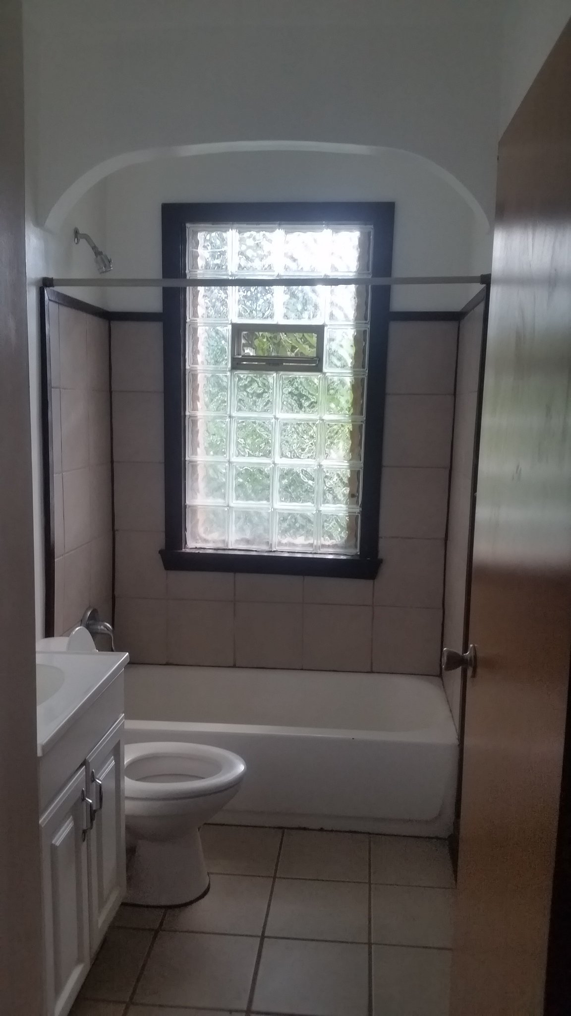 Detroit Apartment: 516 W Margaret St