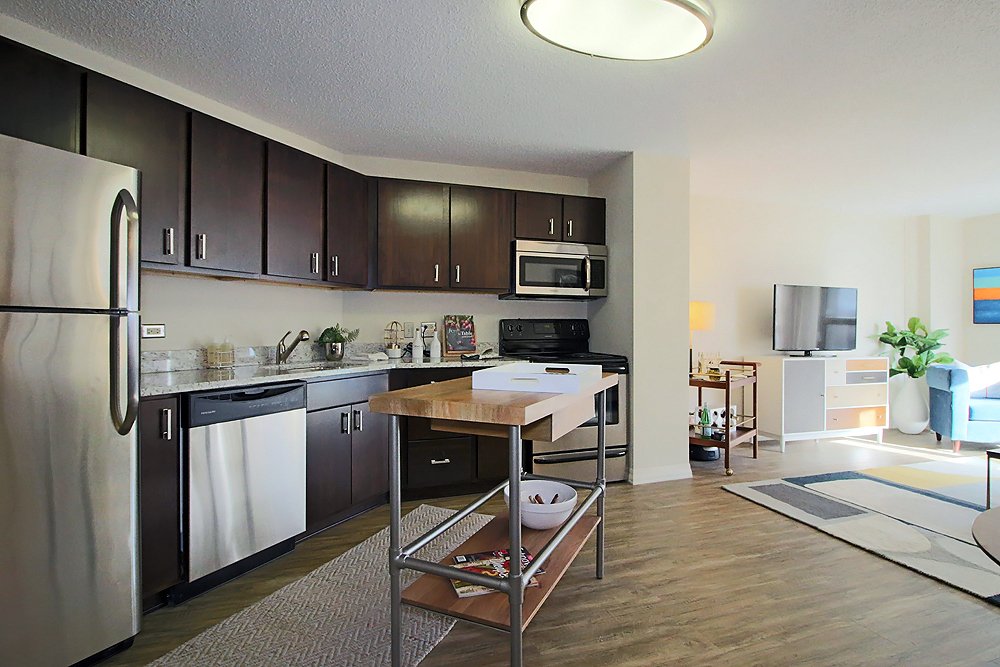 Chicago Condo: 16 W Chestnut