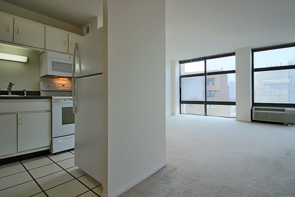 Chicago Condo: 76 E Scott