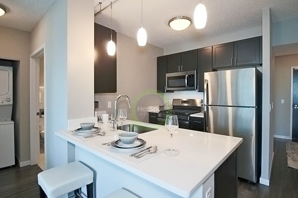 Chicago Condo: 335 East Ohio